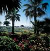 Amathus Beach Hotel 